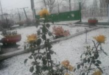 Prima ninsoare la Dondușeni